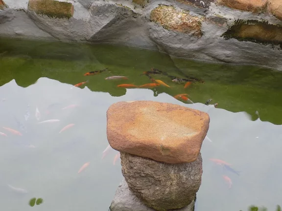 Imagem Imperdível! Casa Charmosa em Garopaba-SC com 3 Quartos, 2 Banheiros e Perto das Dunas!