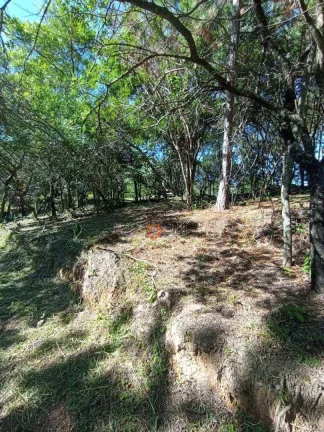 Imagem Terreno à venda, 20000 m² por R$ 1.490.000 - Pinheirinho - Atibaia/SP