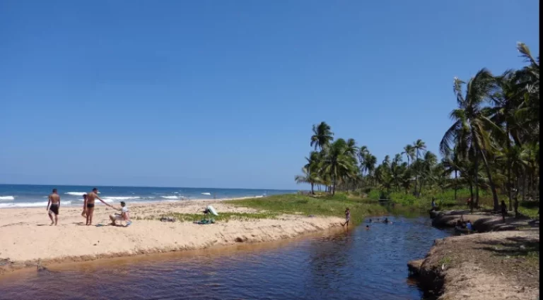Imagem Dois terrenos contíguos (1,185.00 m2 e 1,087.00 m2)com lindas testadas para rua de acesso, planos, ...