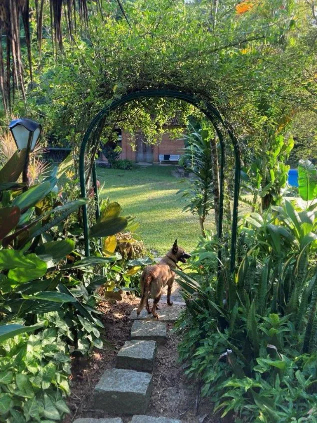Imagem Vendo Sítio/Fazendinha em Florestal/MG - com 27 hectares de terra,