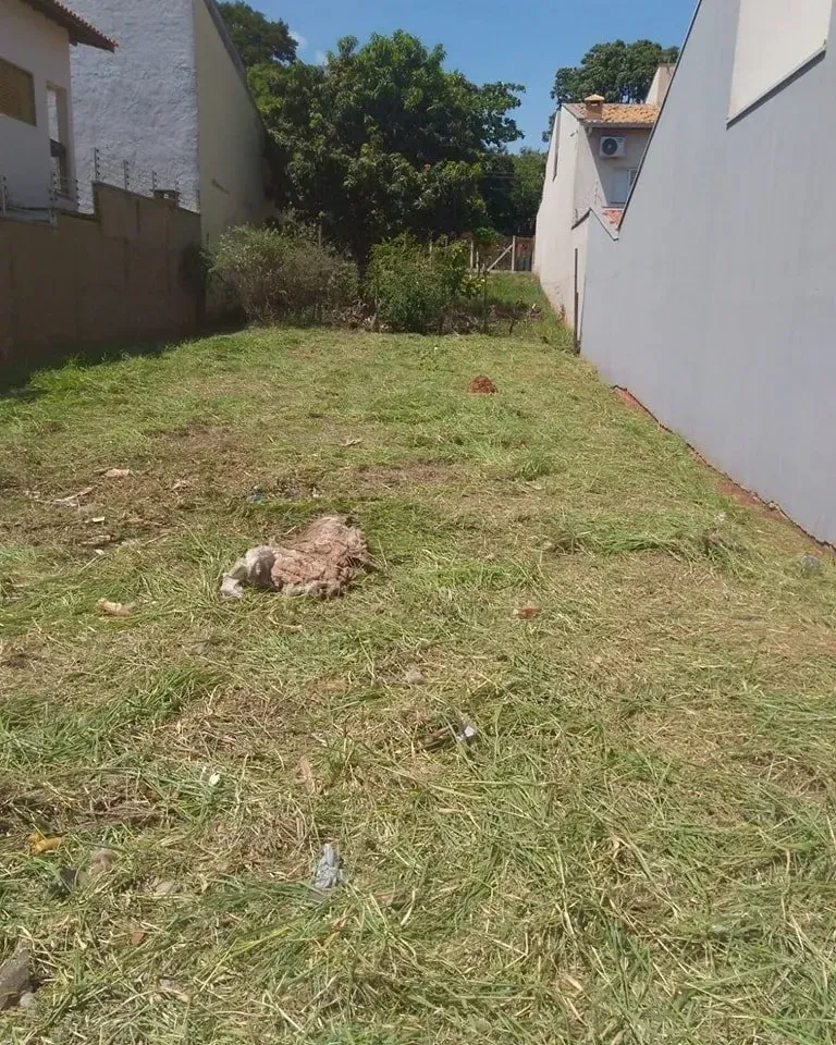 Imagem Terreno à Venda, 250 m² em Residencial Furlan - Santa Bárbara D'Oeste