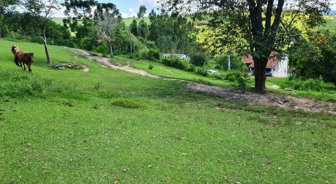 Imagem Sítio com 36.000 m² Natureza com conforto e linda vista? Itapeva/SP