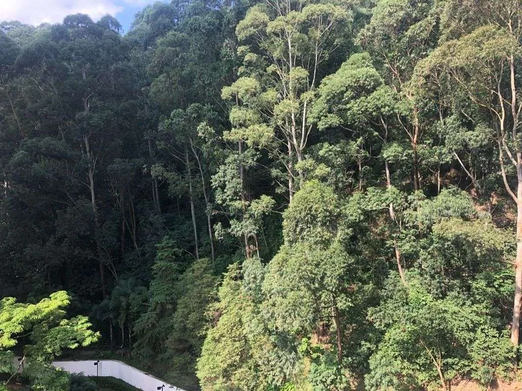 Imagem Apartamento à Venda em Vila Andrade, São Paulo - SP