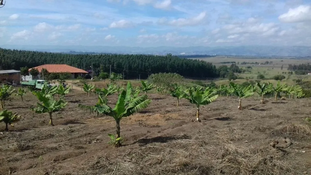 Imagem Chácara à venda 3 Quartos, 1 Suite, 1 Vaga, 96000M², Rio a cima, Guaratinguetá - SP