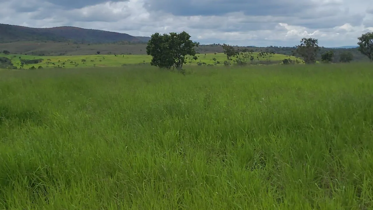 Imagem FAZENDA À VENDA - SÃO GONÇALO DO ABAETÉ (MG) 1.250 hectares de área total.