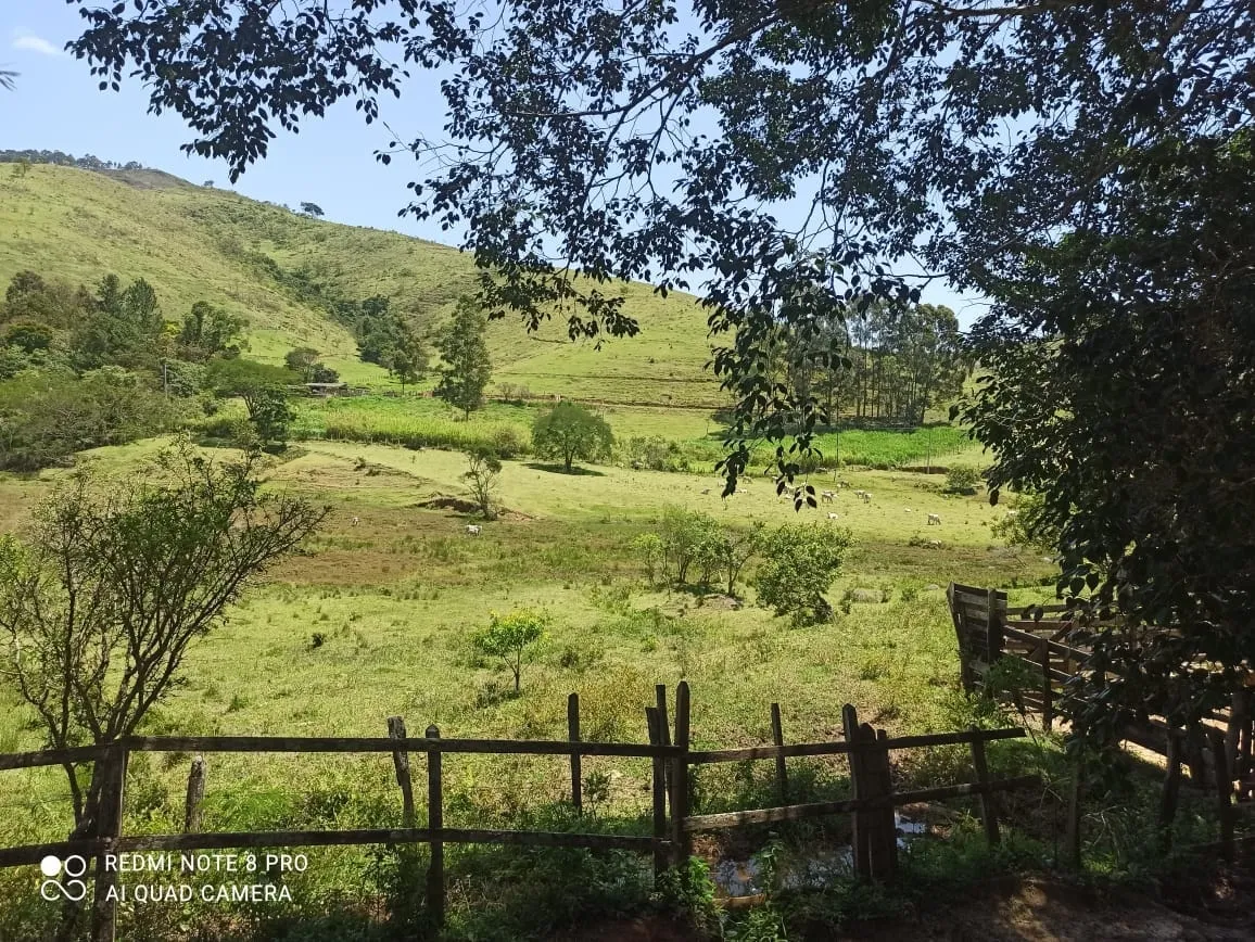 Imagem Chácara à venda 2 Quartos, 4 Vagas, 290400M², Pouso Frio, Pindamonhangaba - SP