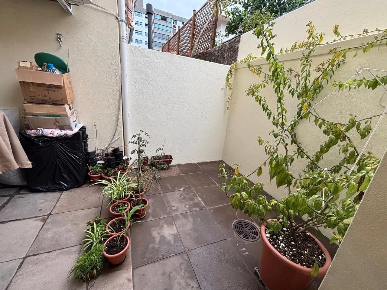 Imagem Excelente Casa 2 Dormitórios em Condomínio Fechado