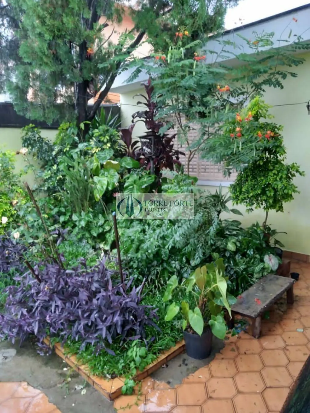 Foto do imóvel Casa 3 dormitórios 2 banheiros e 3 vagas no jardim Vila Formosa em Avenida Carneiro Ribeiro