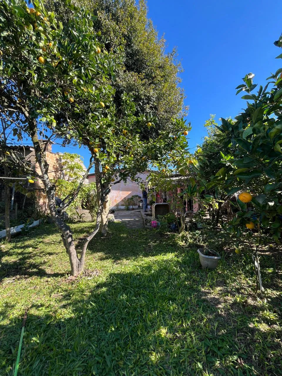 Imagem Casa com Amplo Pátio na Santo Onofre