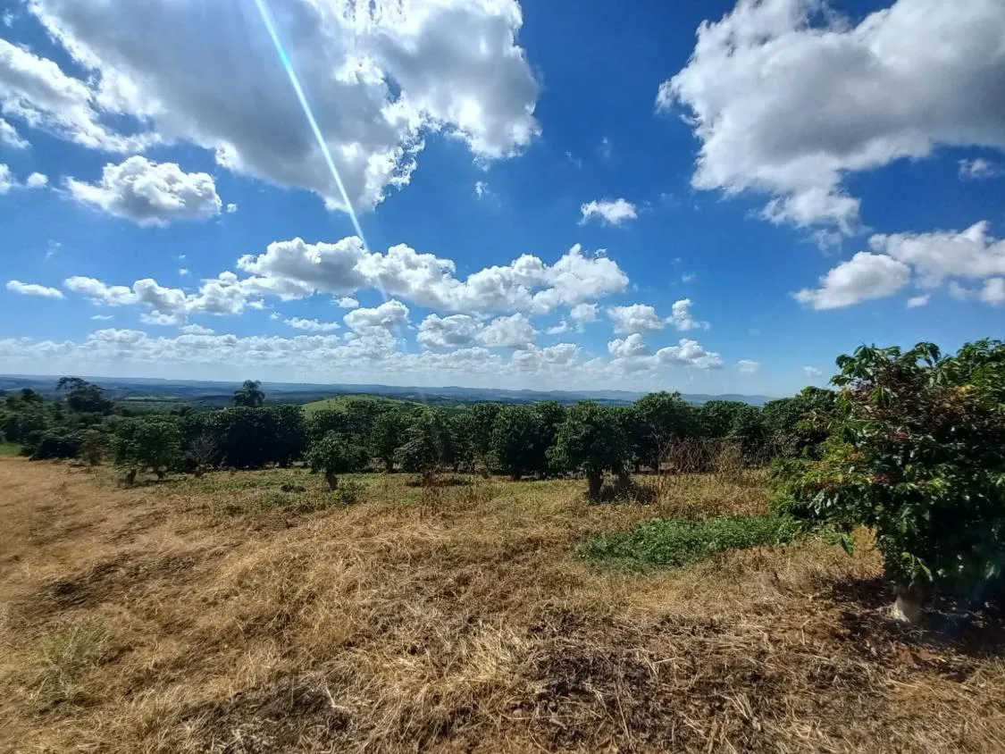Imagem FAZENDA À VENDA - SANTO ANTÔNIO DO AMPARO (MG) 948 hectares de área total
