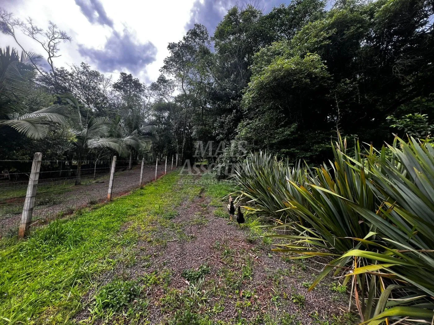 Imagem Chacara para venda em Campo Bom, Quatro Colônias Norte de 5.000m²