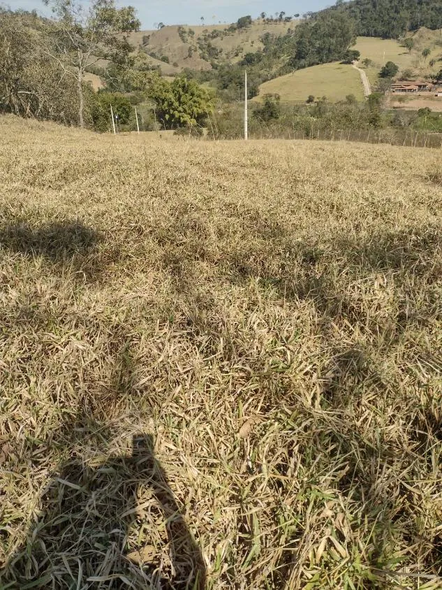 Imagem Terreno à Venda em Crucilândia 3 Hectares de terra