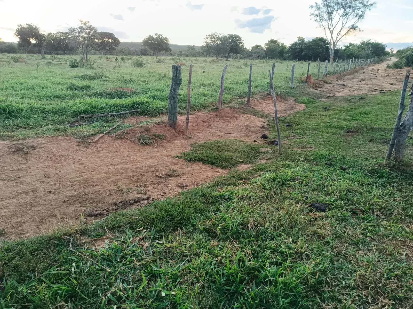 Imagem Fazenda à Venda, 247 HA em Samambaia Sul - Brasília