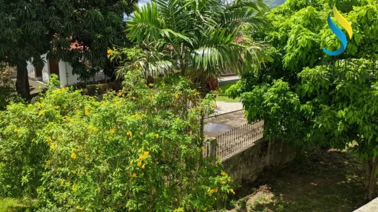 Imagem Sítio a venda no Mucuna em Maracanaú