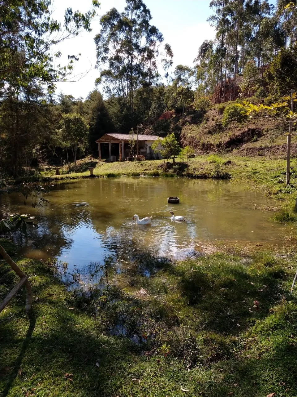 Imagem Chácara à venda 5 Quartos, 1 Suite, 10 Vagas, 24000M², Zona Rural, São Luiz do Paraitinga - SP
