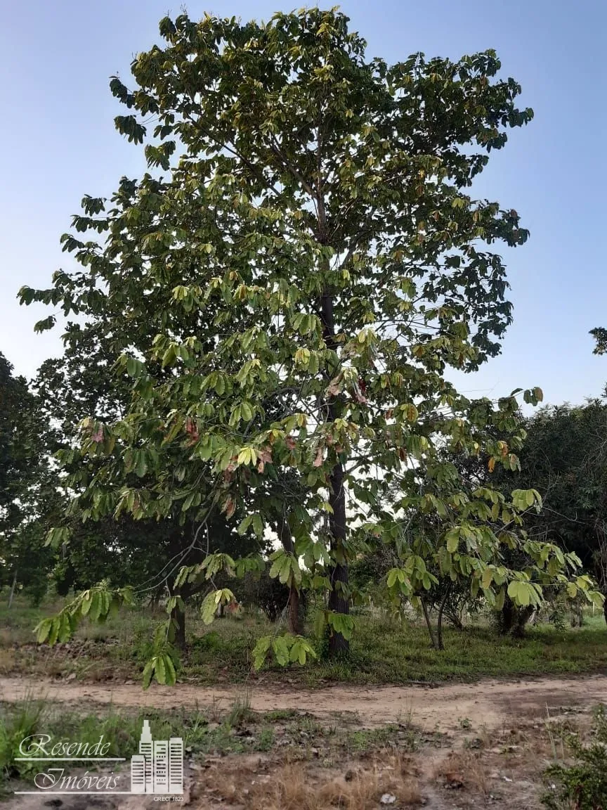 Imagem TERRENO A VENDA NO CENTRO
