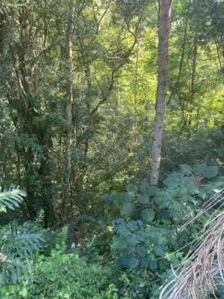 Imagem Área para Venda em Cordilheira Alta, Interior, 3 dormitórios, 1 banheiro, 2 vagas