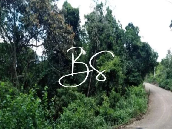 Imagem SITIO RURAL em IGREJINHA - RS, Lageadinho