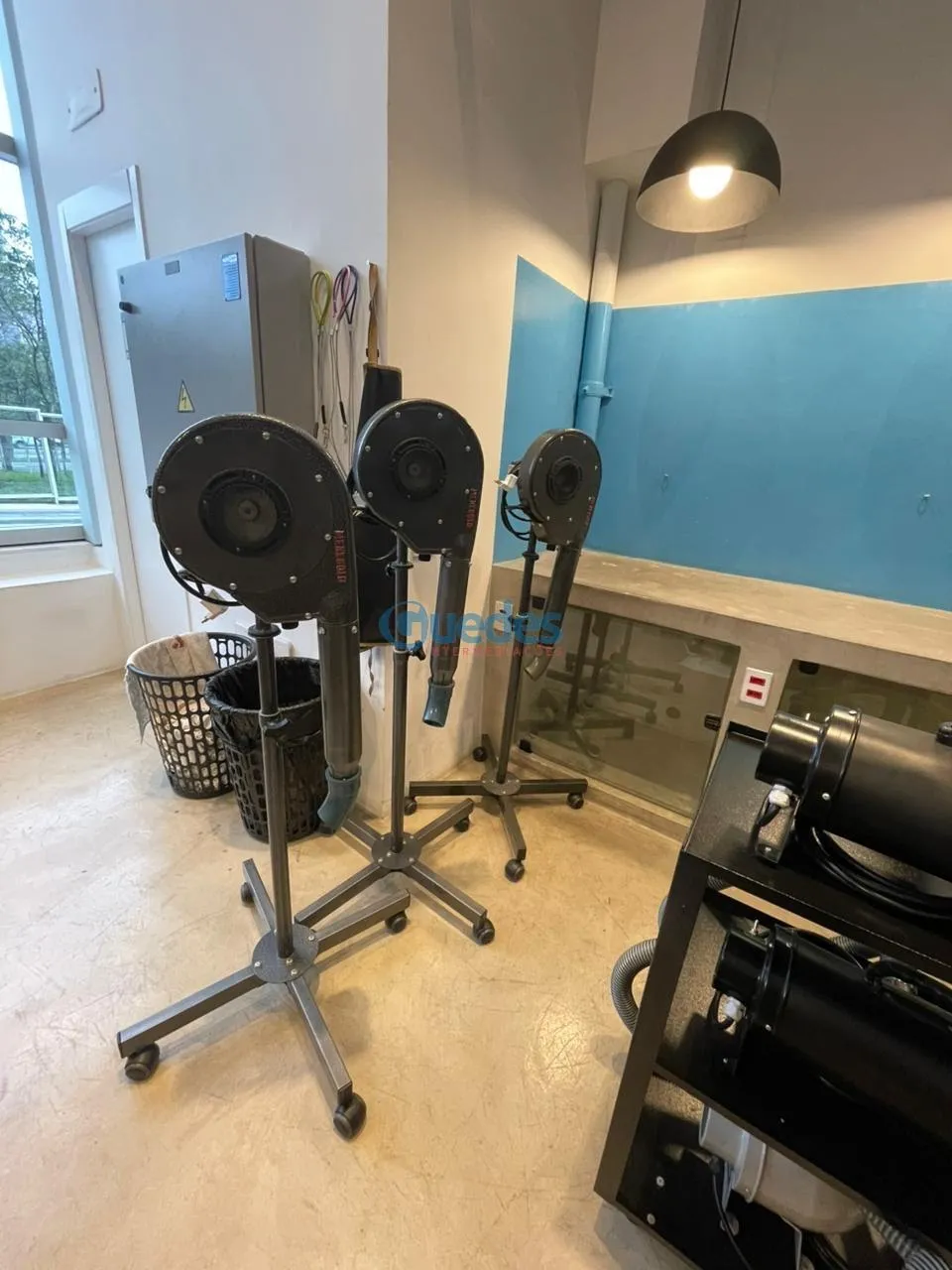 Imagem Pet Shop à venda na Chácara Santo Antônio - São Paulo R$ 310.000