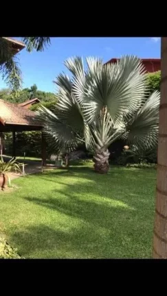 Imagem LINDA CASA COM 4 QUARTOS - NOVA FRIBURGO