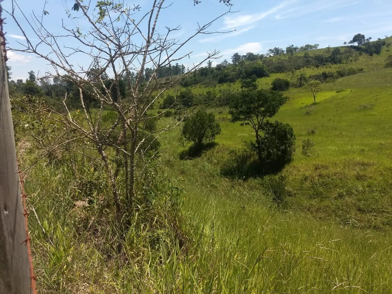 Imagem Chácara à venda 400000M², Barreiro, Taubaté - SP