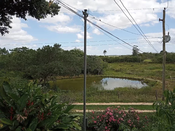 Imagem Sítio Rural com 3.6 hectares, açude, localizado no Capão da porteira