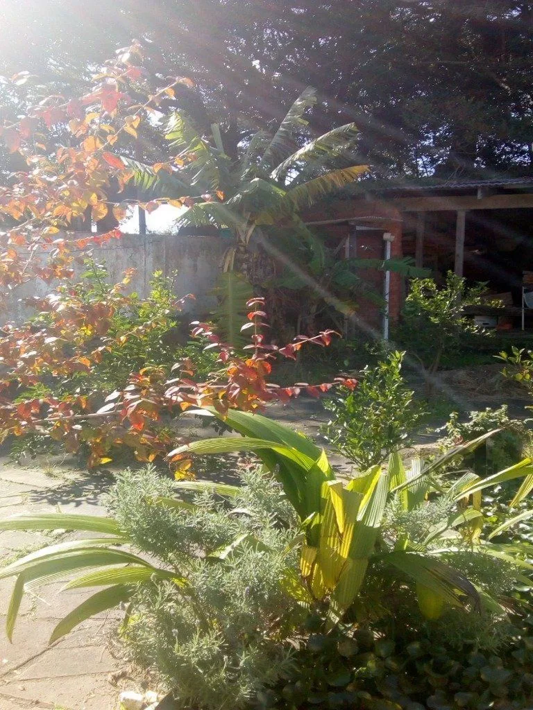 Imagem Casa em Belém Velho