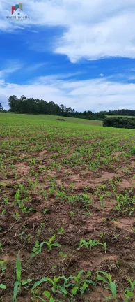 Imagem Fazenda a venda São Miguel Arcanjo SP