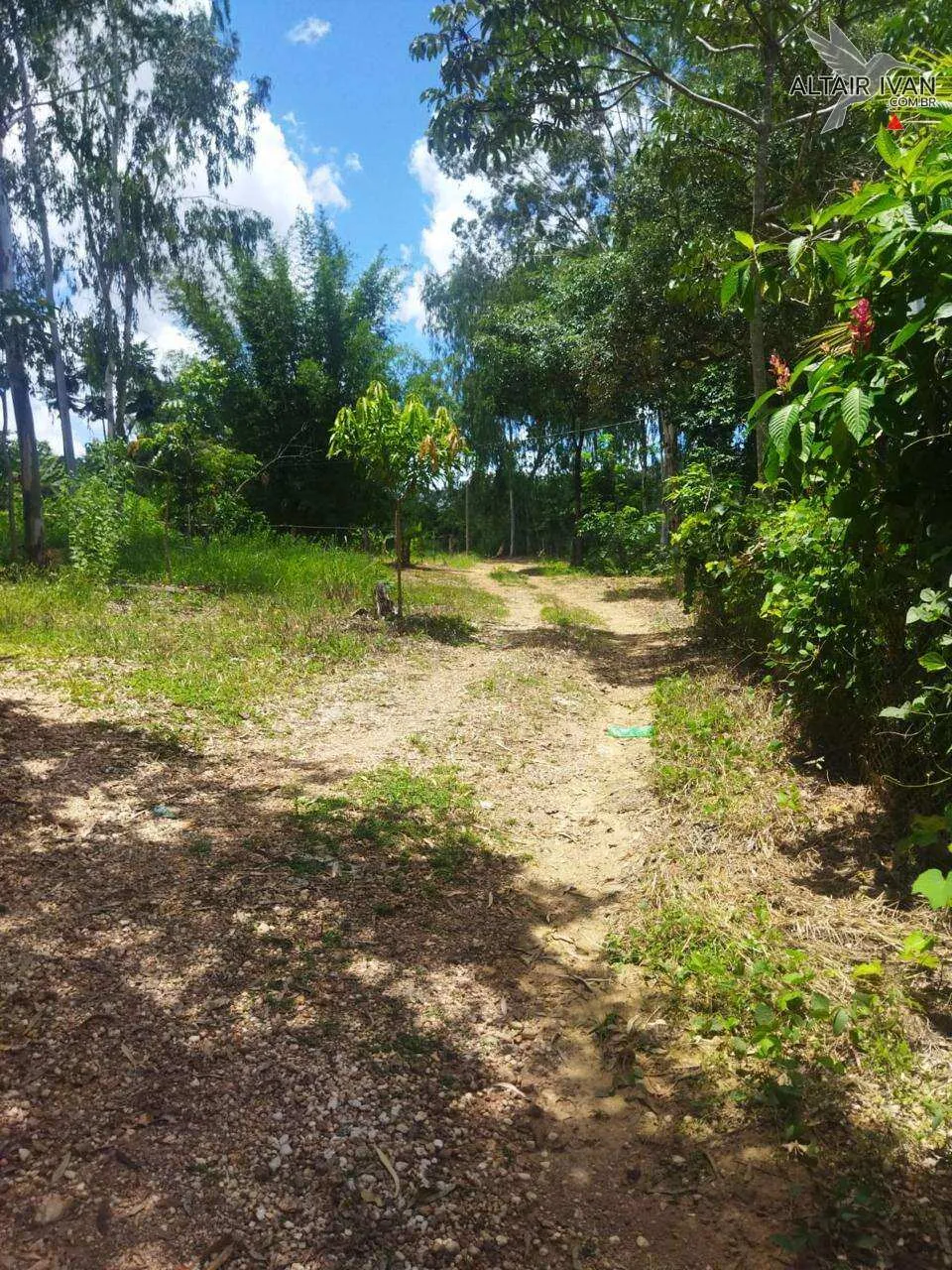 Imagem Mini Fazenda em Curvelo
