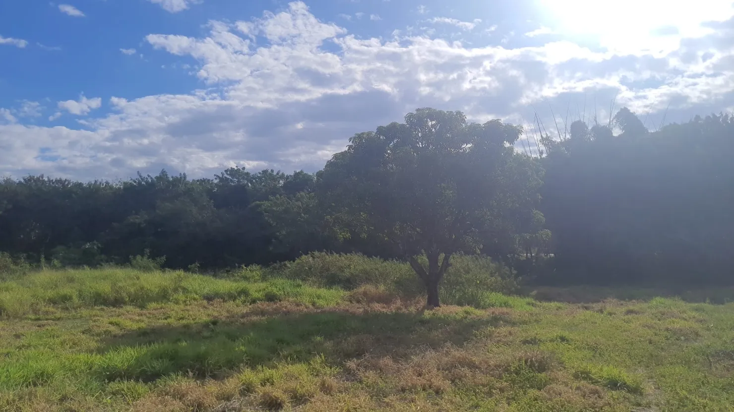 Imagem Terreno à venda 8500M², Jardim Mourisco, Taubaté - SP