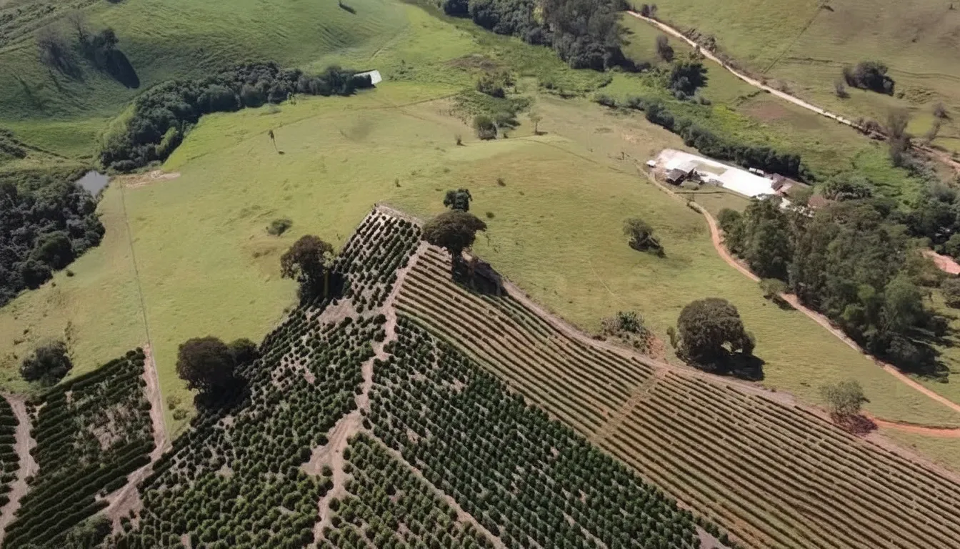 Imagem Sítio 5,4 ha à venda em Sertãozinho, Botelhos