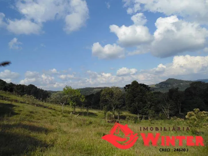 Imagem Bela chácara com 15 hectares no Morro Gaúcho, Vale Real.