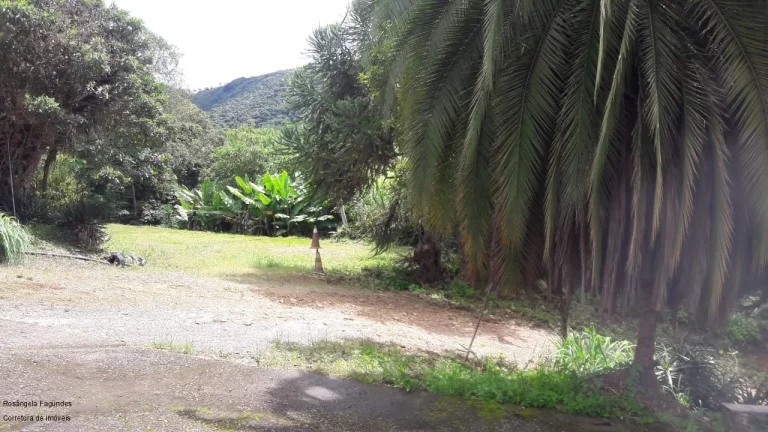 Imagem SITIO RURAL em CALDAS - MG, LARANJEIRAS DE CALDAS