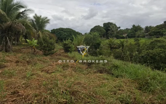 Imagem AREA RESIDENCIAL em SANTA CRUZ CABRÁLIA - BA, TÂNIA