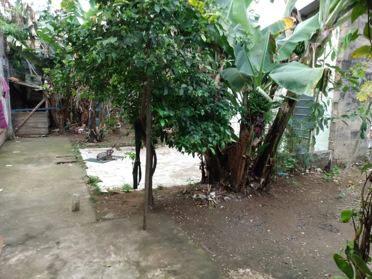 Imagem Casa à venda 2 Quartos, 2 Vagas, 250M², Conjunto Residencial Araretama, Pindamonhangaba - SP