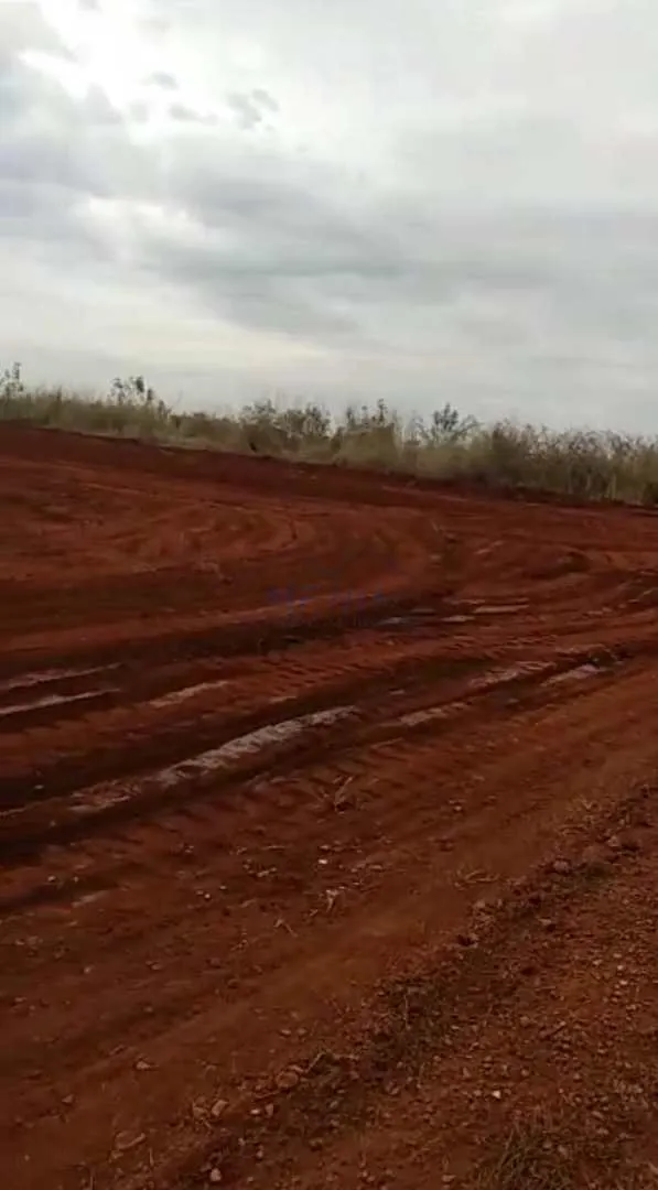 Imagem Terreno Padrão