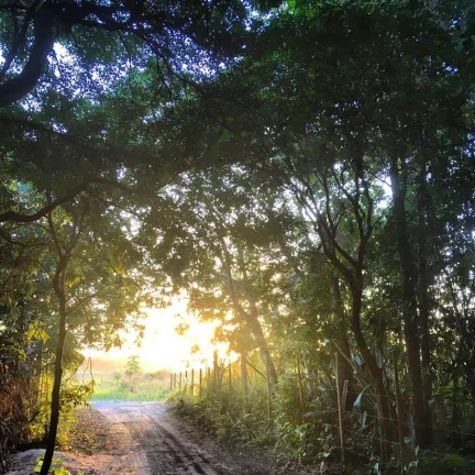 Imagem EcoCamping