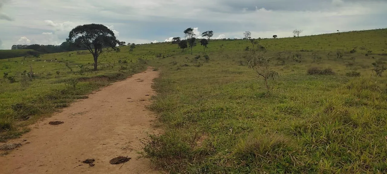 Imagem endo uma excelente fazenda em Desterro de Entre Rios com 277 hectares de terra