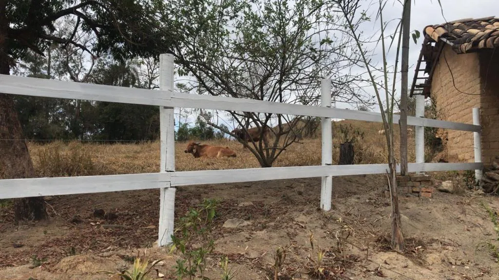Imagem Sítio Maravilhoso à Venda em Bonfim/MG, com 9 hectares de terra