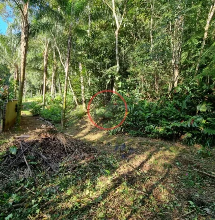 Imagem Lindo terreno na Beira Rio, com 1500 mt com patamar e area de preservaçao.