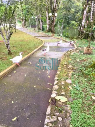 Imagem Terreno à Venda em Condomínio no Horto Florestal - Ubatuba/SP