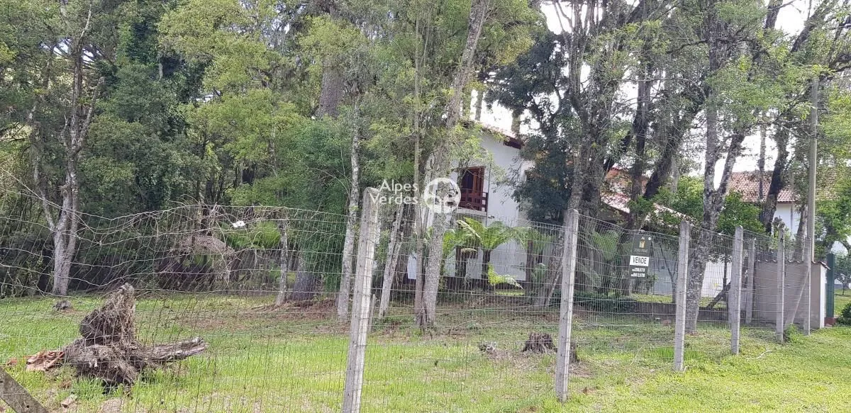 Imagem VENDE-SE TERRENO EM CANELA COM 1.584 M²