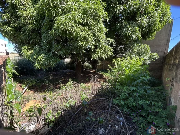 Imagem Terreno à Venda no Bairro São Francisco em Patos de Minas - 465m² para Construir a Casa dos Seus Sonhos!