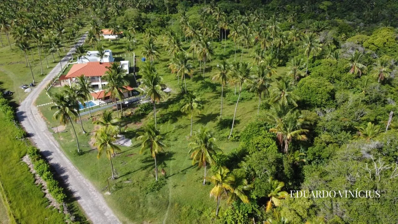 Imagem Sítio dos Coqueiros - Terreno 1.000 m² à Venda na Terceira Praia do Morro de São Paulo