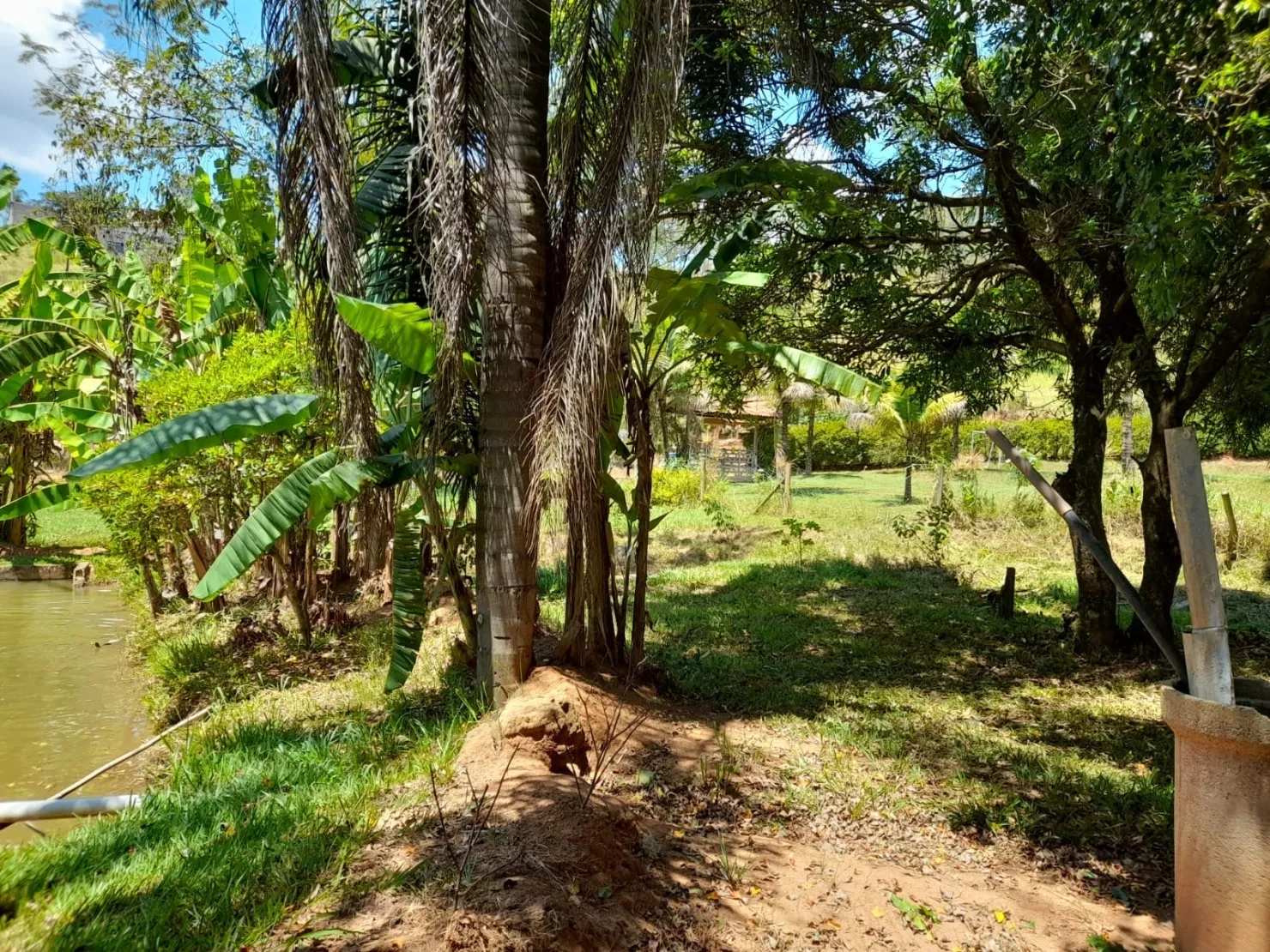 Imagem Chácara à venda 3 Quartos, 3 Suites, 20 Vagas, 8600M², Goiabal, Pindamonhangaba - SP