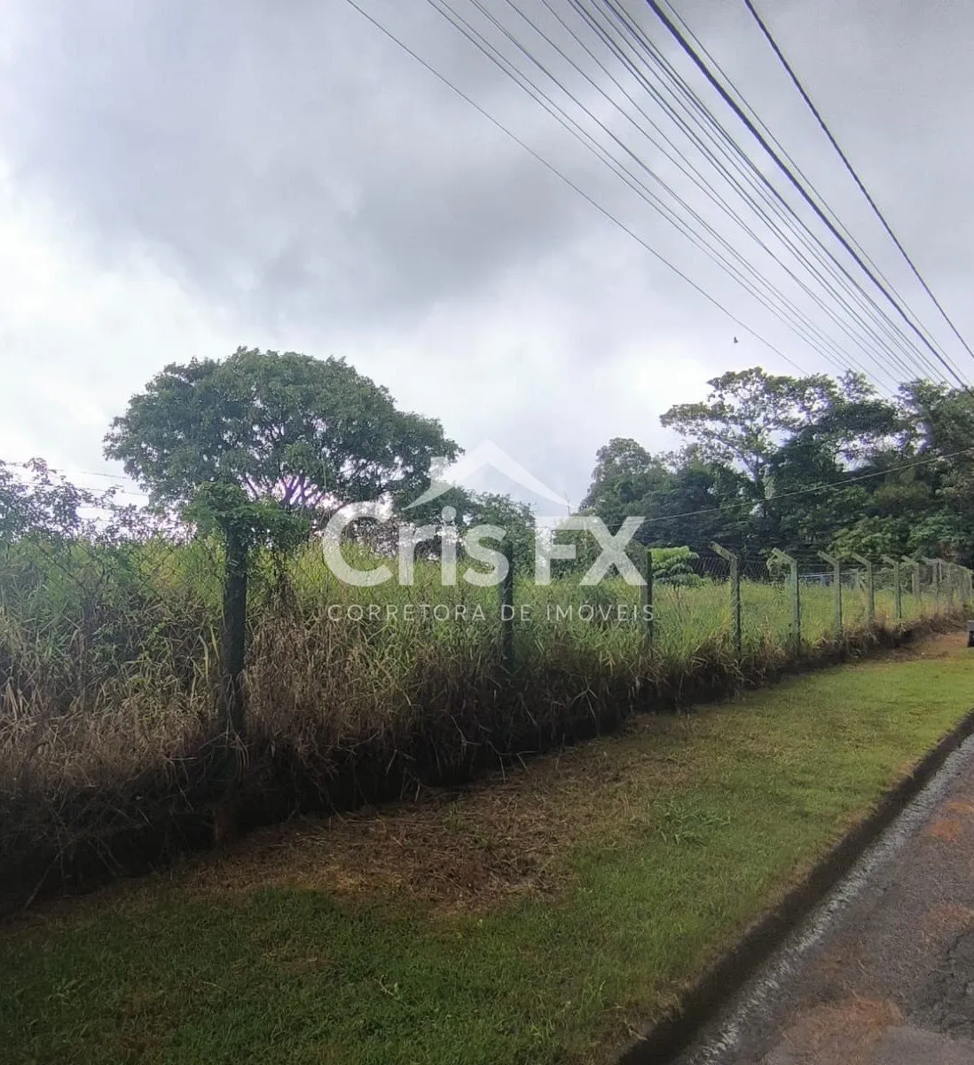 Imagem Lote/Terreno de 15000m² no bairro Vista Alegre, em Vinhedo