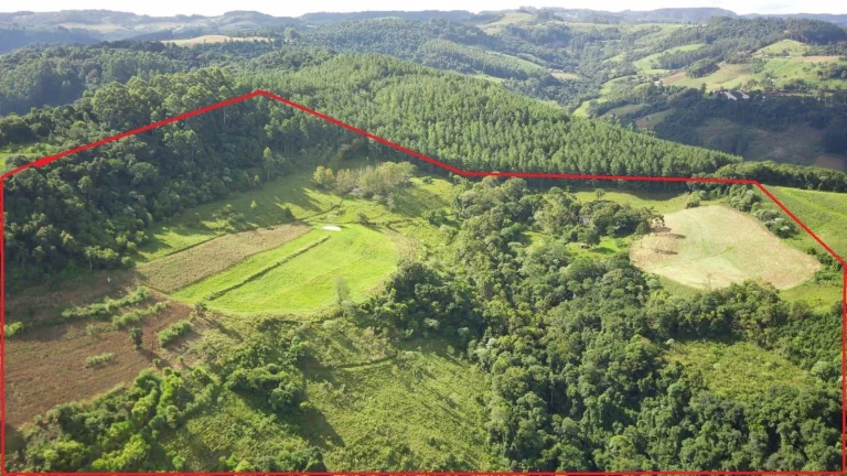 Imagem Área Agrícola para Venda em Arabuta, Sc-154