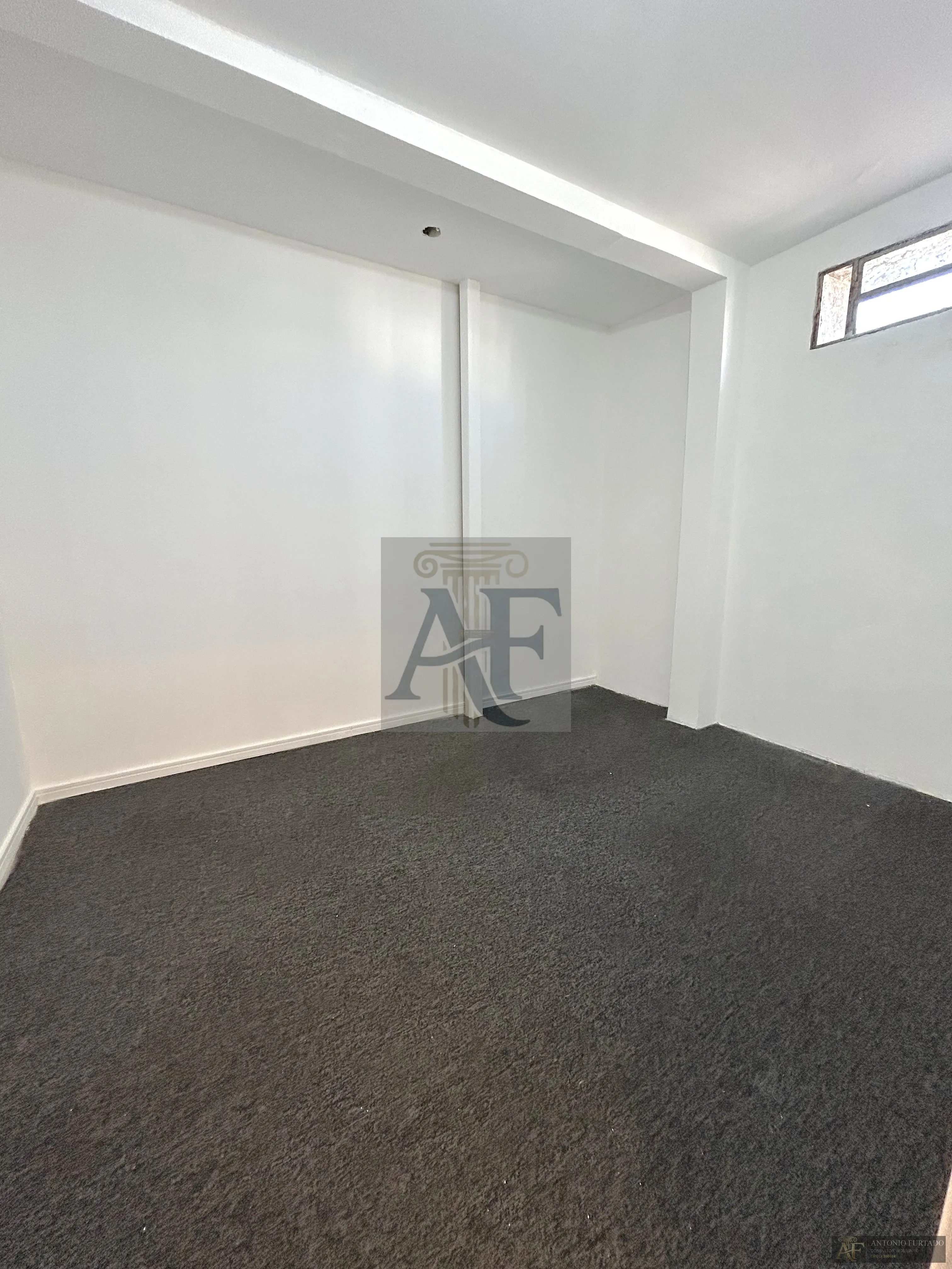 Imagem Comercial para alugar em Jardim Avelino, São Paulo