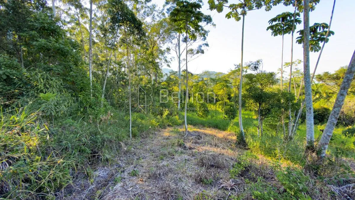 Imagem Sítio em Rodeio com ampla área e excelente potencial