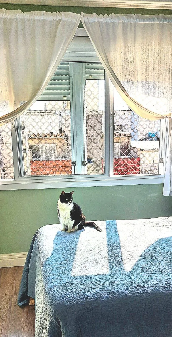Imagem Apartamento em Menino Deus